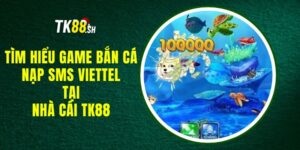 Tìm Hiểu Game Bắn Cá Nạp SMS Viettel Tại Nhà Cái TK88